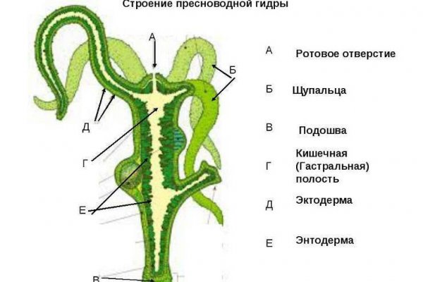 Кракен портал