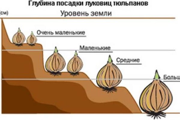 Кракен макет даркнет только через тор