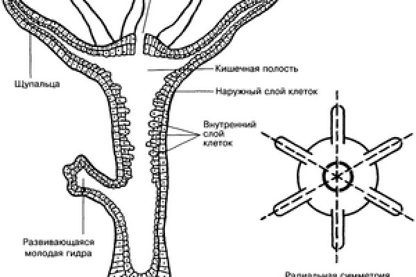 Сайт наркотиков купить